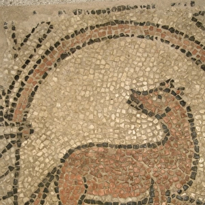 Early Christian art. Mosaico depicting a odg. Corfu. Greece