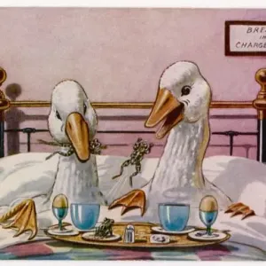 Geese in Bed Print: Two Geese Breakfasting Geese in Bed Print: Two Geese Breakfasting