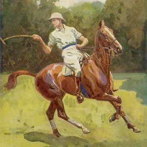 Edward Viii / Polo 1920S