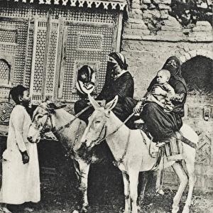 Egypt - Cairo - Donkey Ride