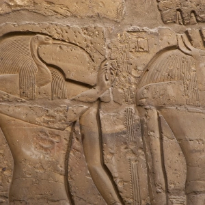 Egypt. Thoth and Anubis Gods