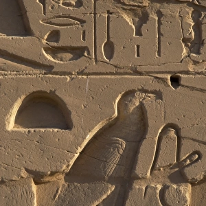 Egyptian Art. Relief depicting a vulture. Karnak