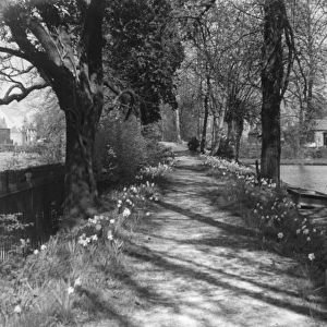 Enfield River Path