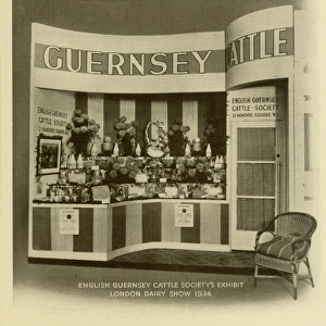 English Guernsey Cattle Society Exhibit