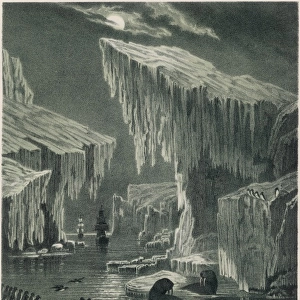 Erebus and Terror in search of the Northwest Passage