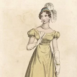 Evening Dress 1824