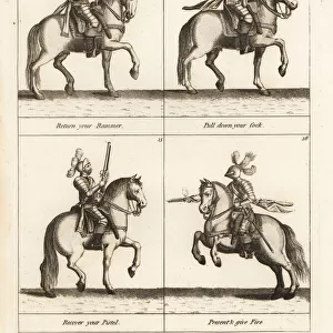 Exercise of the horse