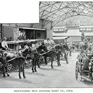 Express Dairy - despatching milk 1902