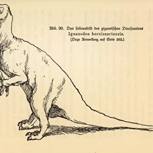 Extinct Iguanodon bernissartensis