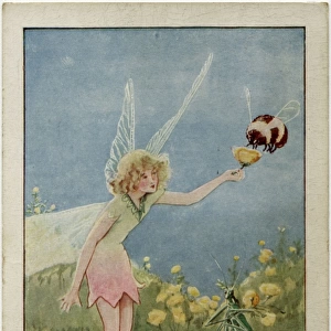 Fairy, buttercup and bee