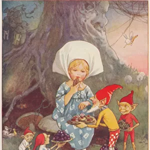 Fairy picnic