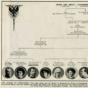 Family tree of Peter the Great and Catherine I