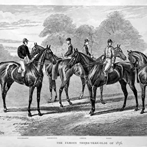 Five famous three-year-old racehorses of 1876