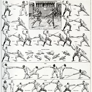 Popular Themes Greetings Card Collection: Fencing