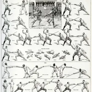 Popular Themes Greetings Card Collection: Fencing