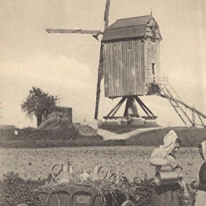 Flemish Milk cart - Belgium