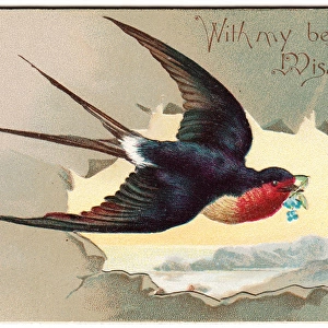 Flying swallow on a greetings card