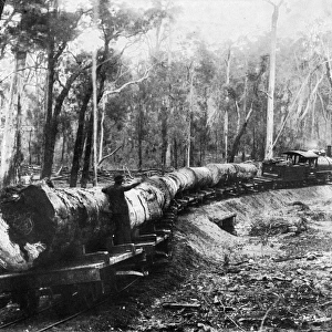 Forest railway, Western Australia