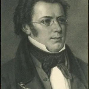 Franz Schubert Print - Austrian Composer Portrait Franz Schubert Print - Austrian Composer Portrait