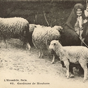 French Shepherdess with flock and dog