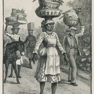 Carrying Bananas to Kingston Market Print, 1888 Carrying Bananas to Kingston Market Print, 1888