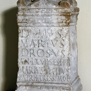 Funerary altar. Roman, late 2nd century-arly 3rd century. Ma