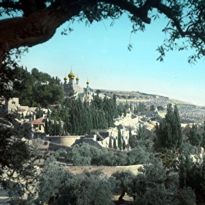 Garden of Gethsemane - An O E Simmonds view