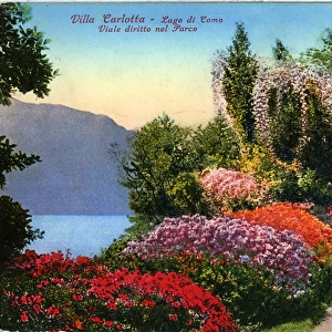 The Gardens, Villa Carlotta, Lago di Como - Lake Como