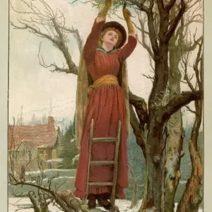 Mistletoe Gathering Print Mistletoe Gathering Print