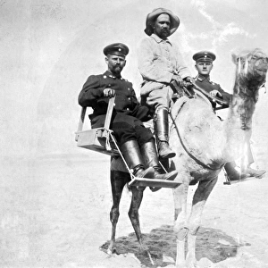 German soldiers on a camel, South West Africa, WW1