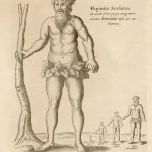 Giant of Trapani Print: Anatomically impossible skeleton measuring 400 feet Giant of Trapani Print: Anatomically impossible skeleton measuring 400 feet