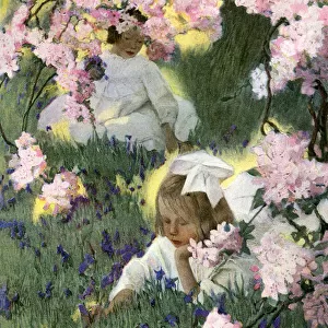 GIRLS AND BLOSSOM 1905