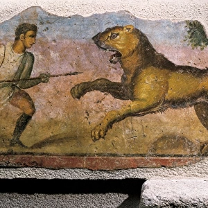 Gladiator fighting against a beast
