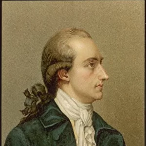 Goethe in Profile