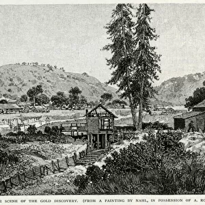 Gold in California, Sutters Mill