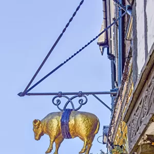 Golden Fleece, York