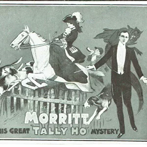 The Great Tally Ho Mystery - Charles Morritt