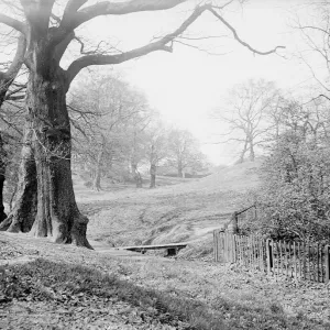 Hampstead Heath 1930s Print, North London Landscape Hampstead Heath 1930s Print, North London Landscape