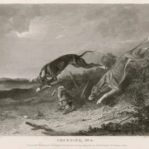 Hare Coursing Print 1835