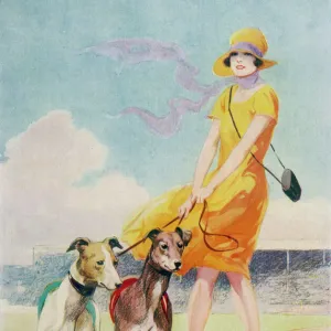 Sport Poster Print Collection: Greyhound Racing