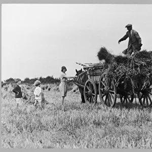 The Hay Wagon (Pugh)