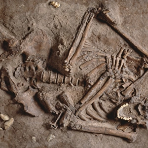 Homo neanderthalensis (Kebarah) burial site