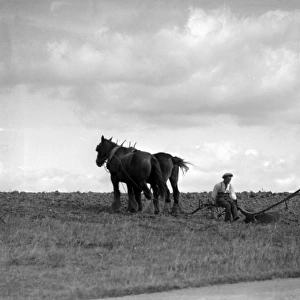 Horse and Plough 1930S