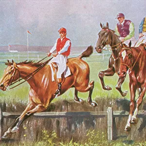Horse Racing - The Last Hedge
