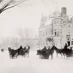 Horse and sledges in the snow, Montreal, Canada