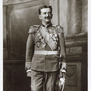 HRH The Hereditary Prince Danilo of Montenegro