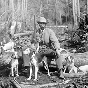 Huneter with his pack of Beagle dogs deer hunting in America