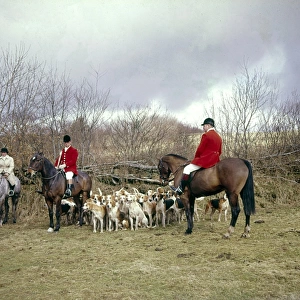 Three hunt members, horses and foxhounds