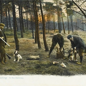 Hunting Series (3 of 5) - Rabbit Shooting