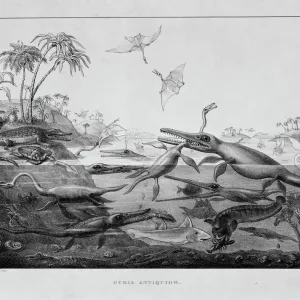 Early Jurassic Marine Reptiles Print